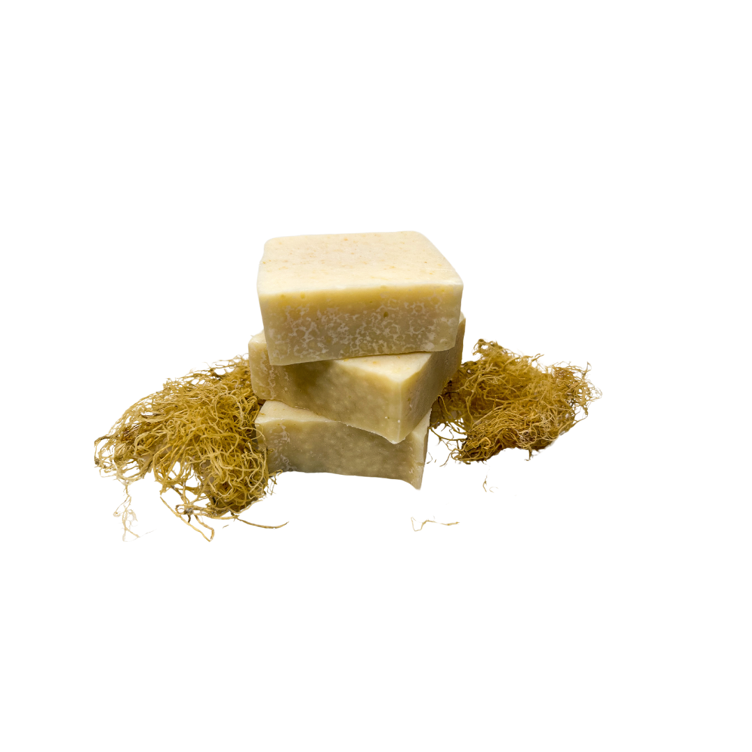 Sea Moss Beauty Bar